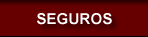 Seguros